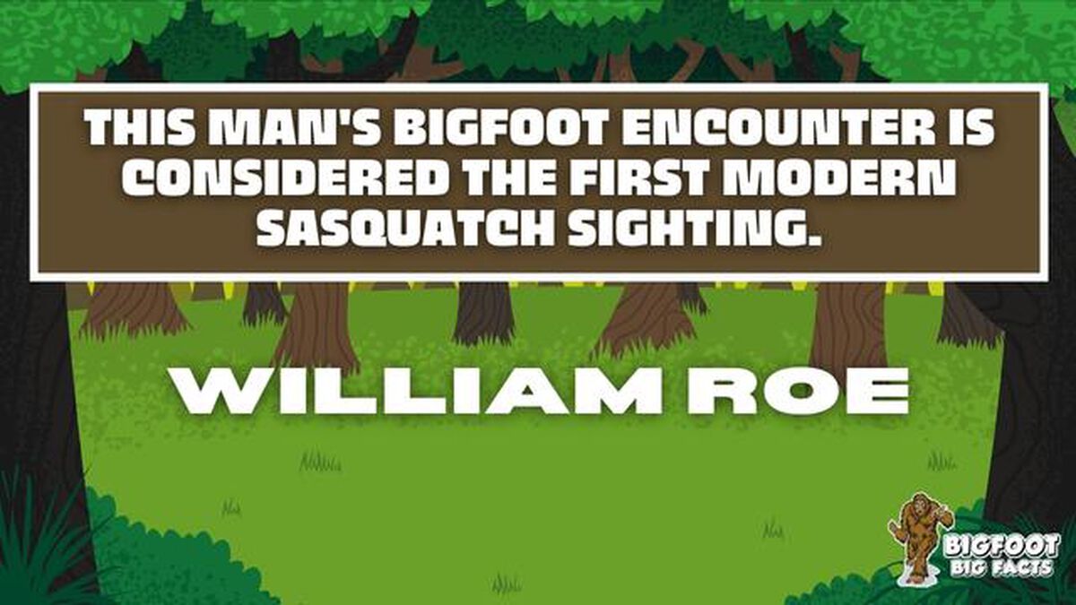 Bigfoot Big Facts image number null